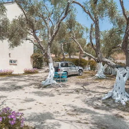 Nikos & Vivi Appartement