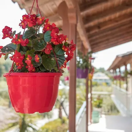 Nikos & Vivi Appartement *